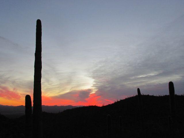 Tucson Sunset Photo
